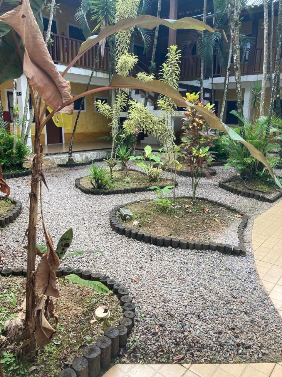 Jasmim Manga Ubatuba